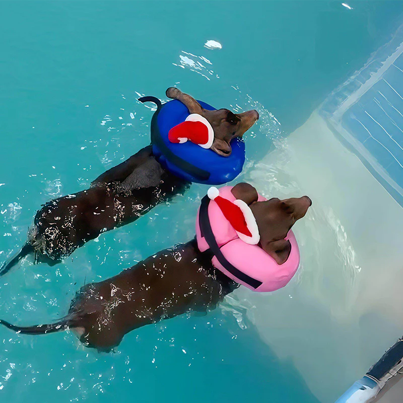 Keep Your Dog Afloat – Inflatable Safety Neck Ring for Swimming