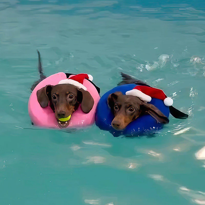Keep Your Dog Afloat – Inflatable Safety Neck Ring for Swimming