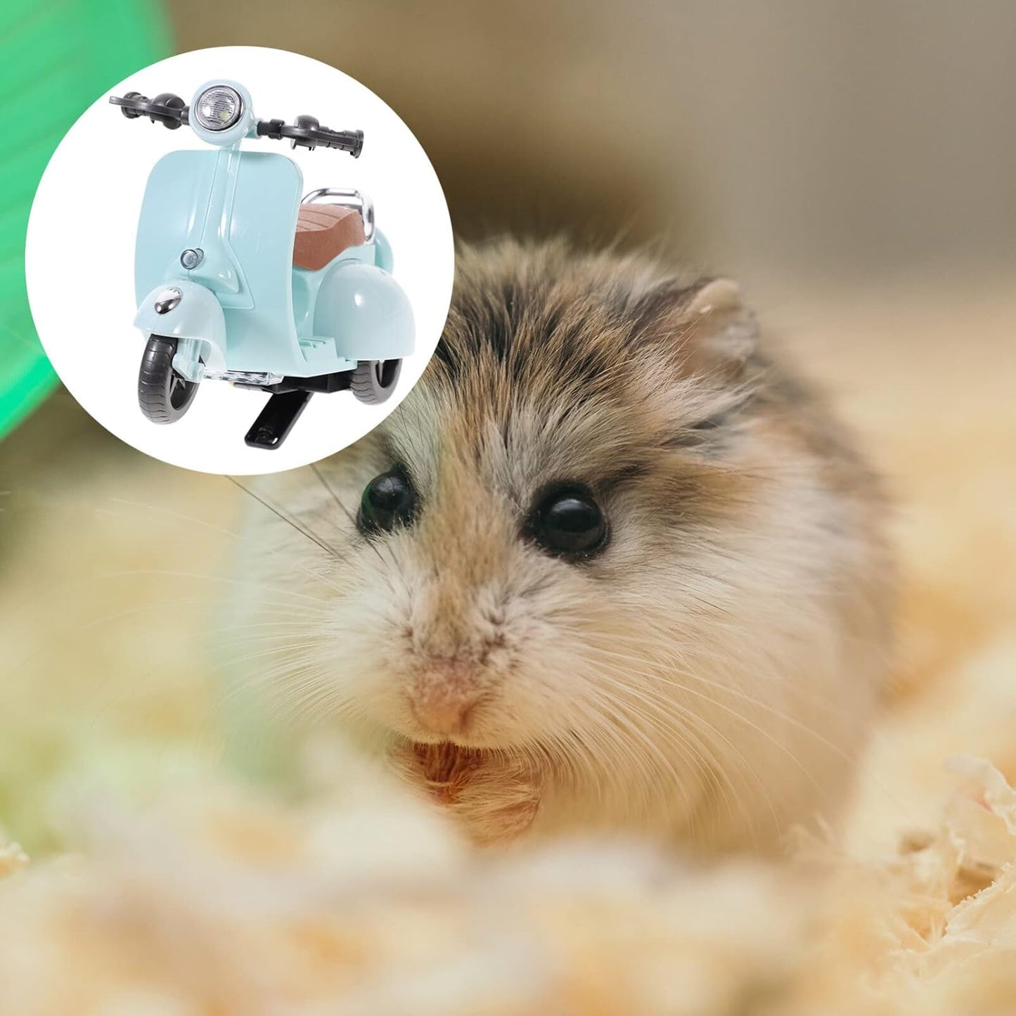 Hamster Motorcycle Toy with Music & Motion