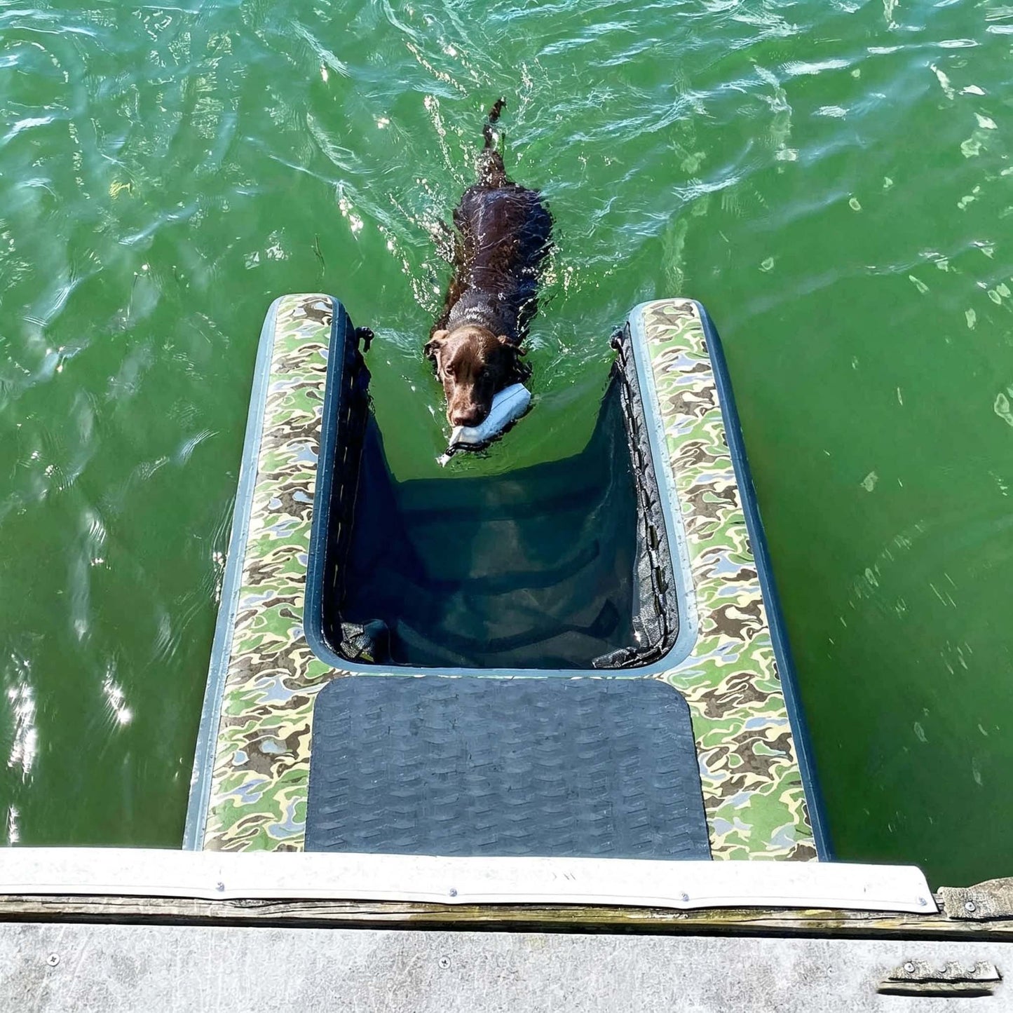 Inflatable Dog Water Access Ramp